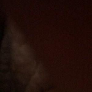 Meet your Posher, Kassandra